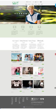 網(wǎng)頁(yè)設(shè)計(jì)與軟件開(kāi)發(fā) 數(shù)字時(shí)代的兩大支柱